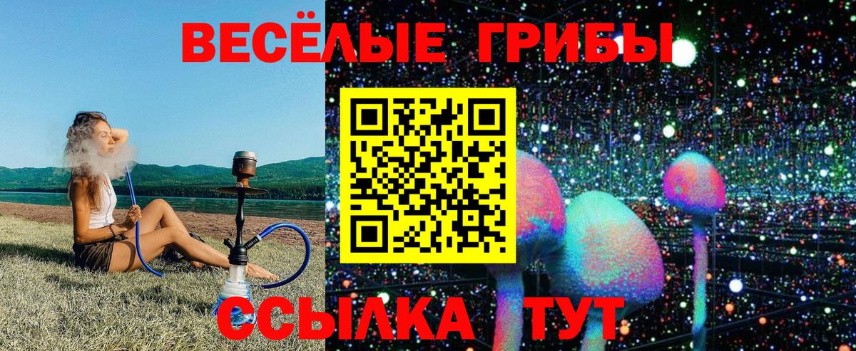 Псилоцибиновые грибы MAGIC MUSHROOMS Чайковский