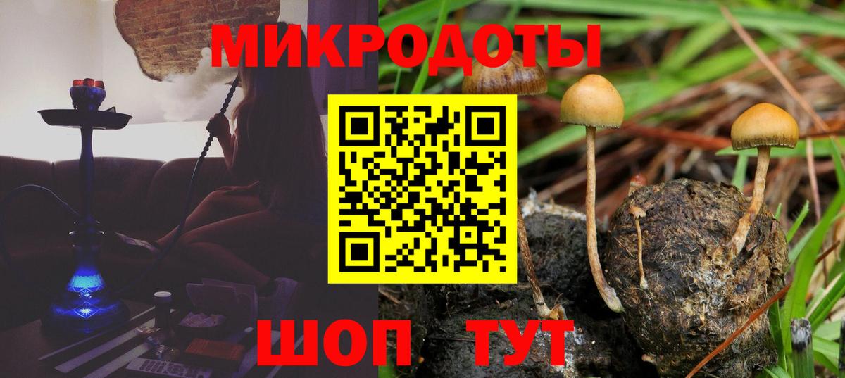 Чайковский  Галлюциногенные грибы мицелий  Вход с VPN  Псилоцибиновые грибы GOLDEN TEACHER 